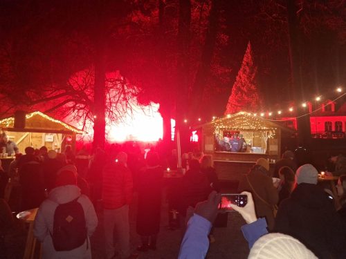 motion photo 9042487949518936970